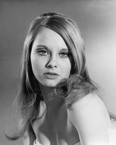 LINDA HAYDEN PRINTS AND POSTERS 104175