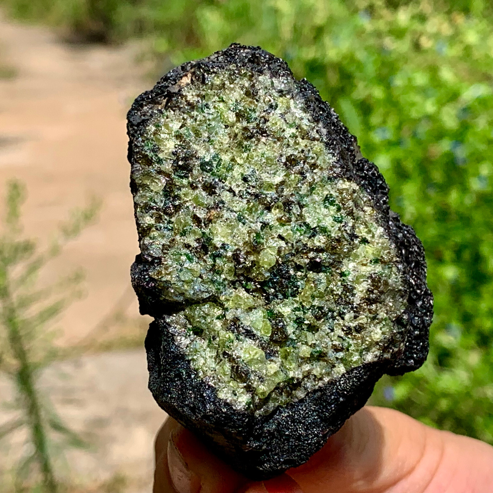 218G Natural and rare beautiful museum grade olive green olivine crystal