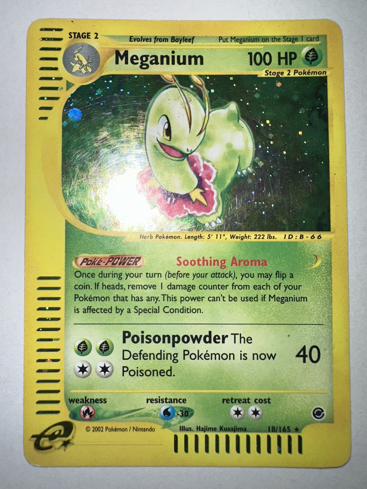 Pokemon TCG Meganium Holo Rare Card 18/165 Expedition Base Set