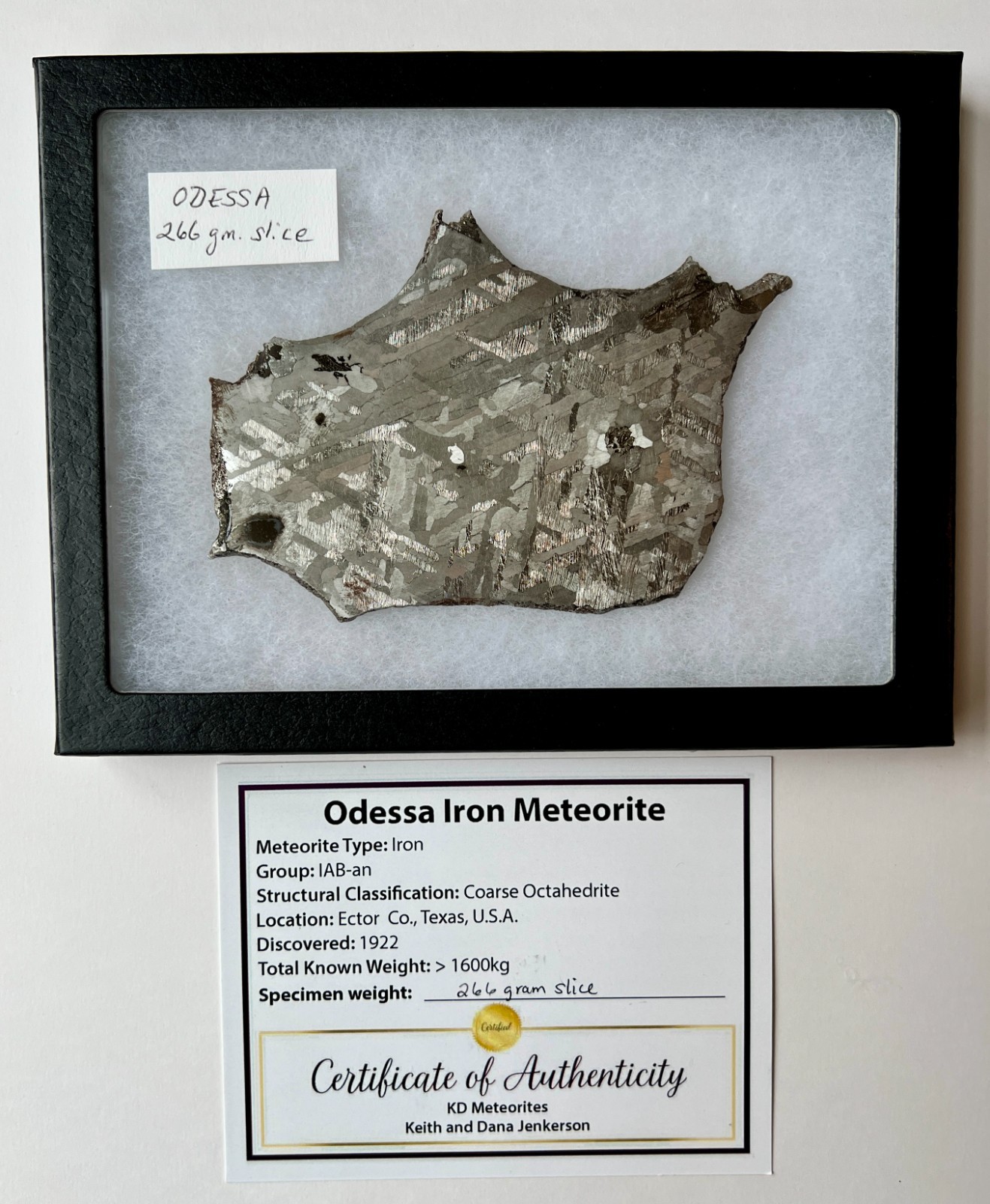 Odessa Iron Octahedrite Meteorite Slice 266 Grams Widmanstätten Pattern 150mm