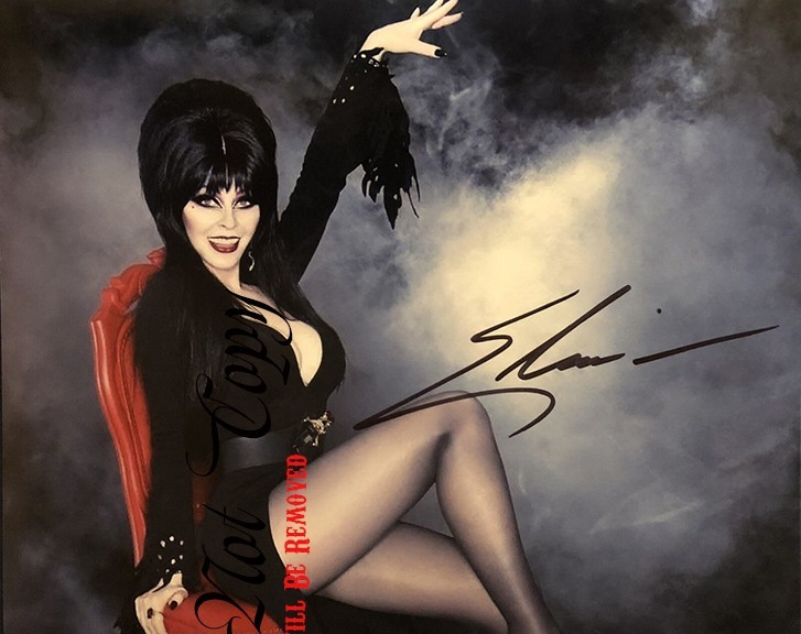Elvira Framed Autographed/Signed Photo REPRINTS 12