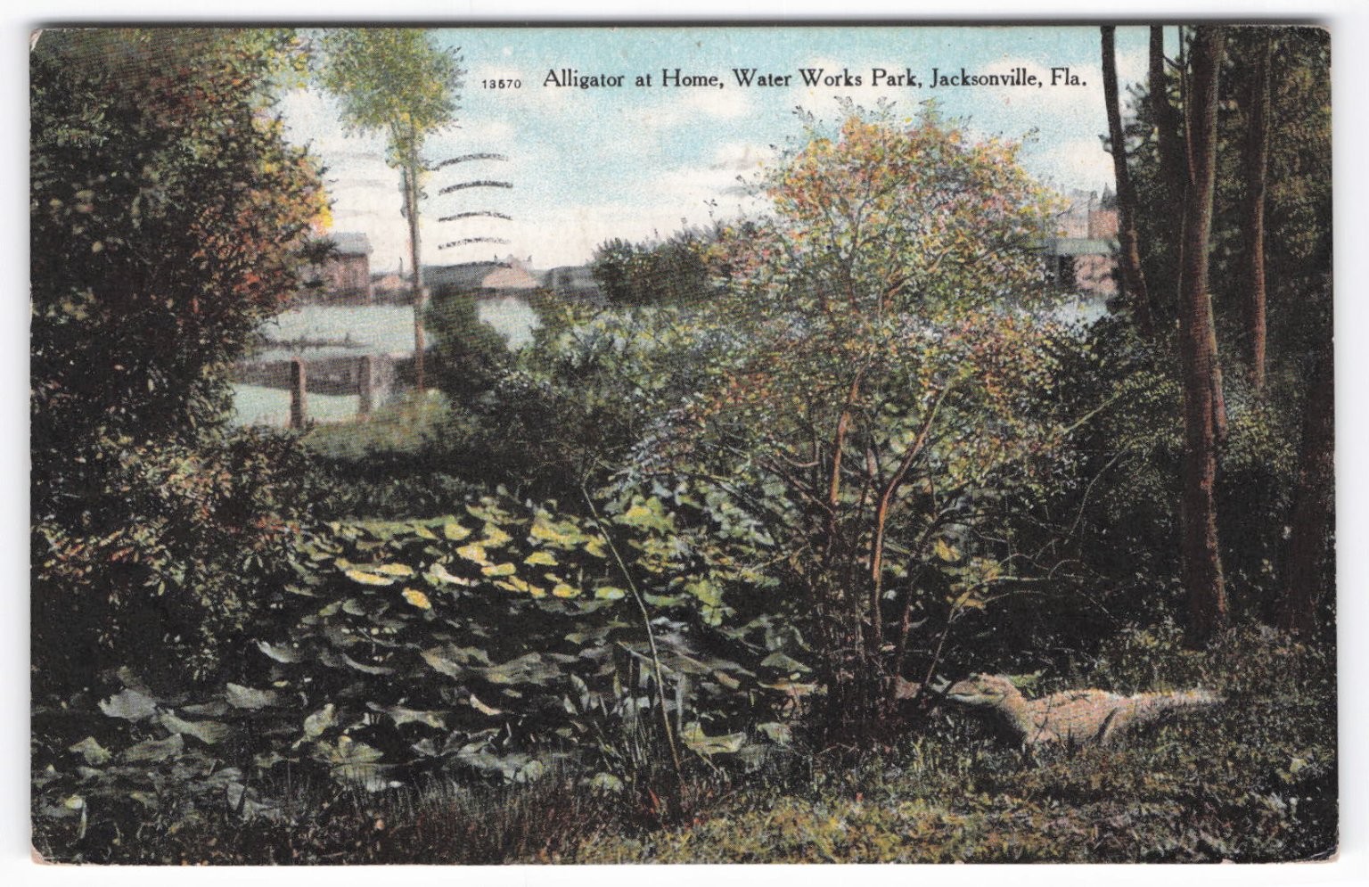1910 Jacksonville Florida Alligator Water Works Park Vintage Postcard 1910 Jacksonville Florida Alligator Water Works Park Vintage Postcard