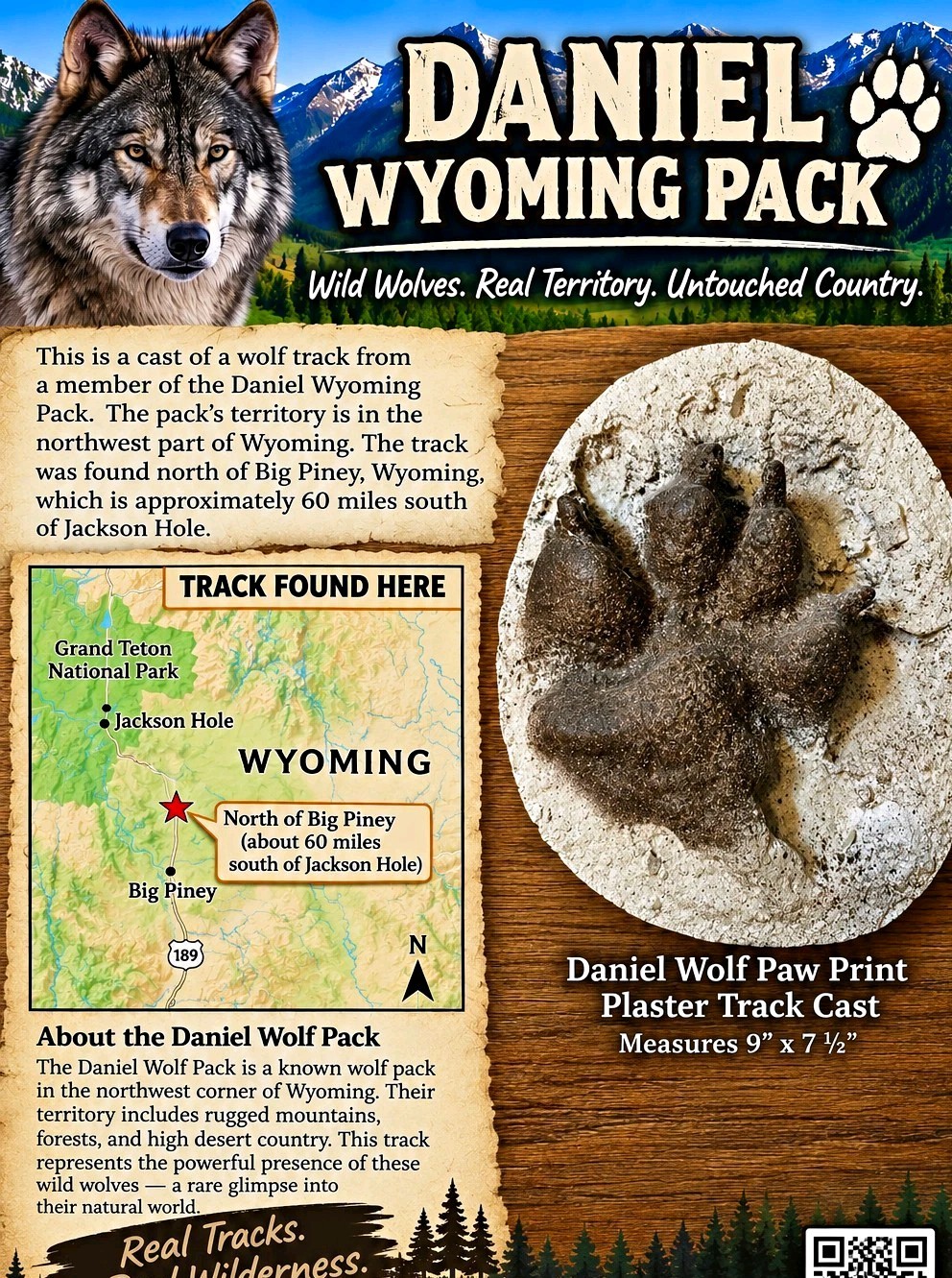 Wolf Paw Print Plaster Track Cast Plaque Wolves Daniel Wyoming Wolf Pack Wolf Paw Print Plaster Track Cast Plaque Wolves Daniel Wyoming Wolf Pack