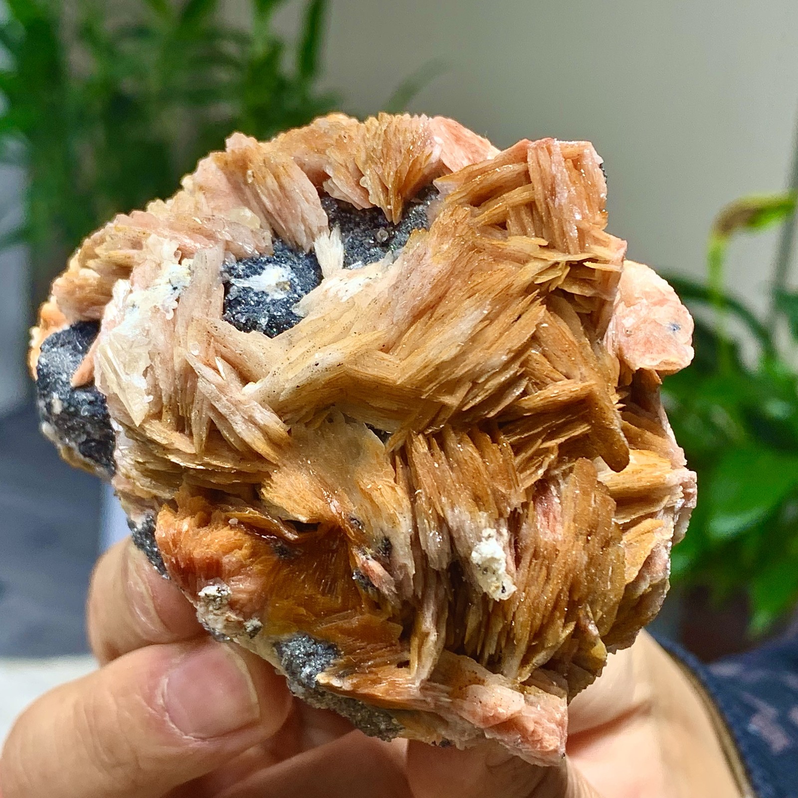 601G Natural Crystal Specularite Hematite Specular Iron Quartz Mica Collectors