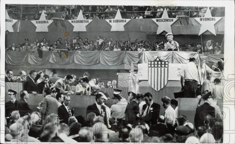 1956 Press Photo Eleanor Roosevelt speaks at Democratic convention in Chicago