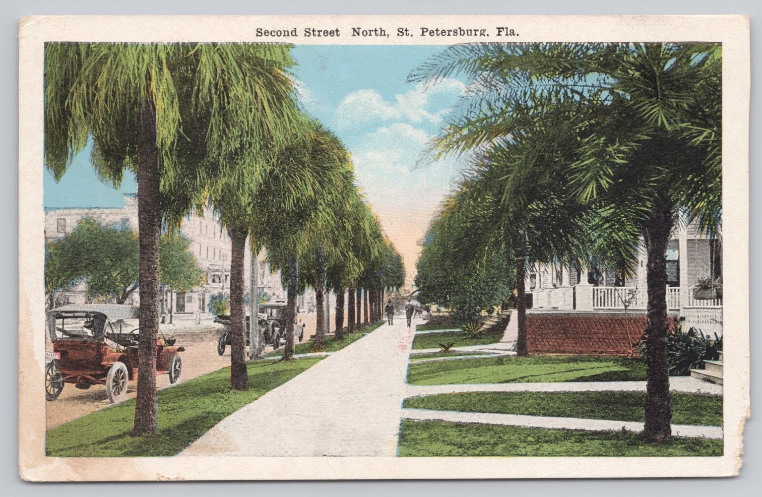 Vintage Palm-Lined Second Street North St. Petersburg Florida Postcard