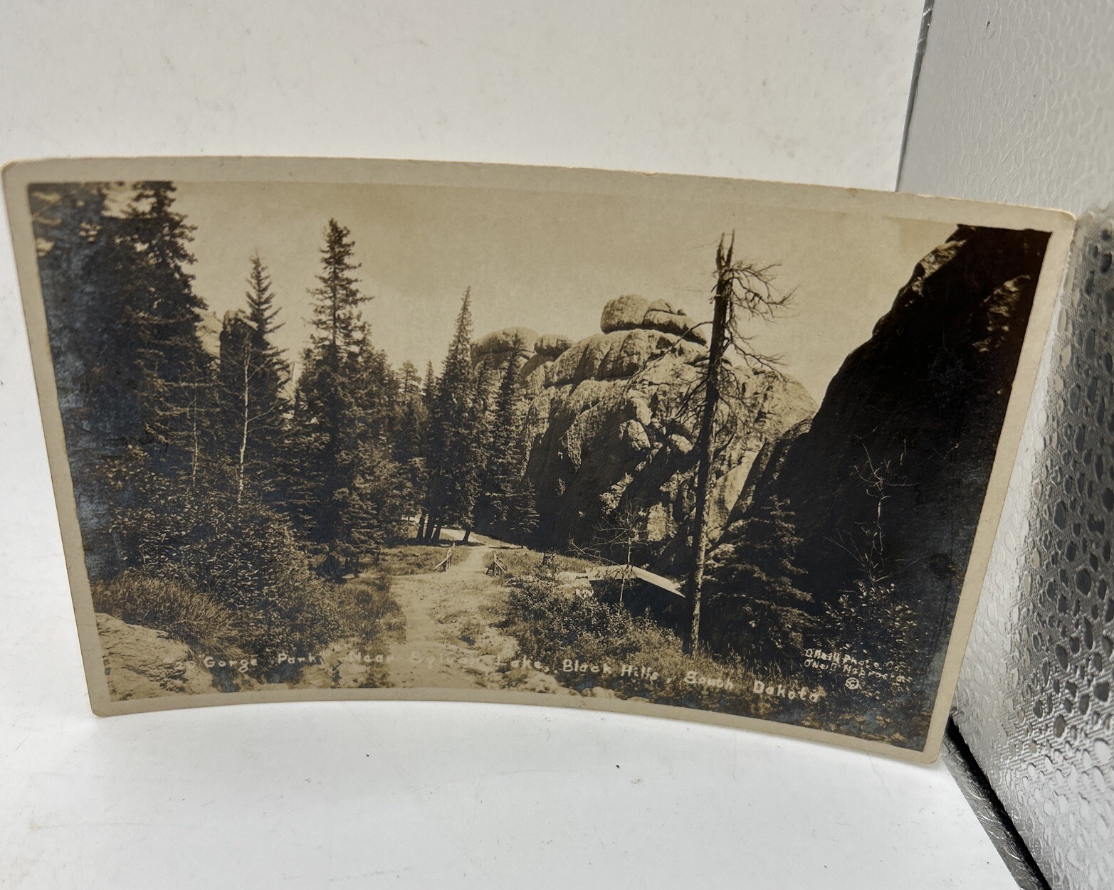 RPPC 1900 Gorge Park Cabin Postcard Vtg Sylvan Lake Black Hills SOUTH DAKOTA