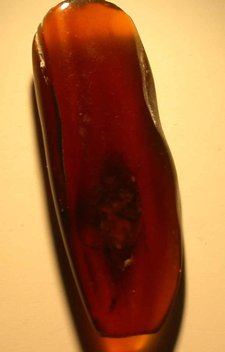 Beautiful Cherry RED Burmese Amber Fossil with LARGE 14 mm Roach Dinosaur Age