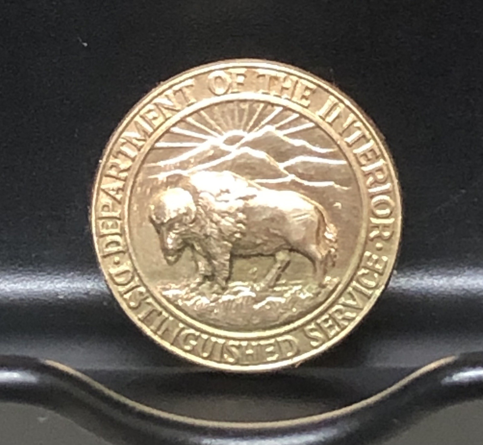 14K Gold DEPARTMENT of the INTERIOR Distinguished Service Pin - BUFFALO