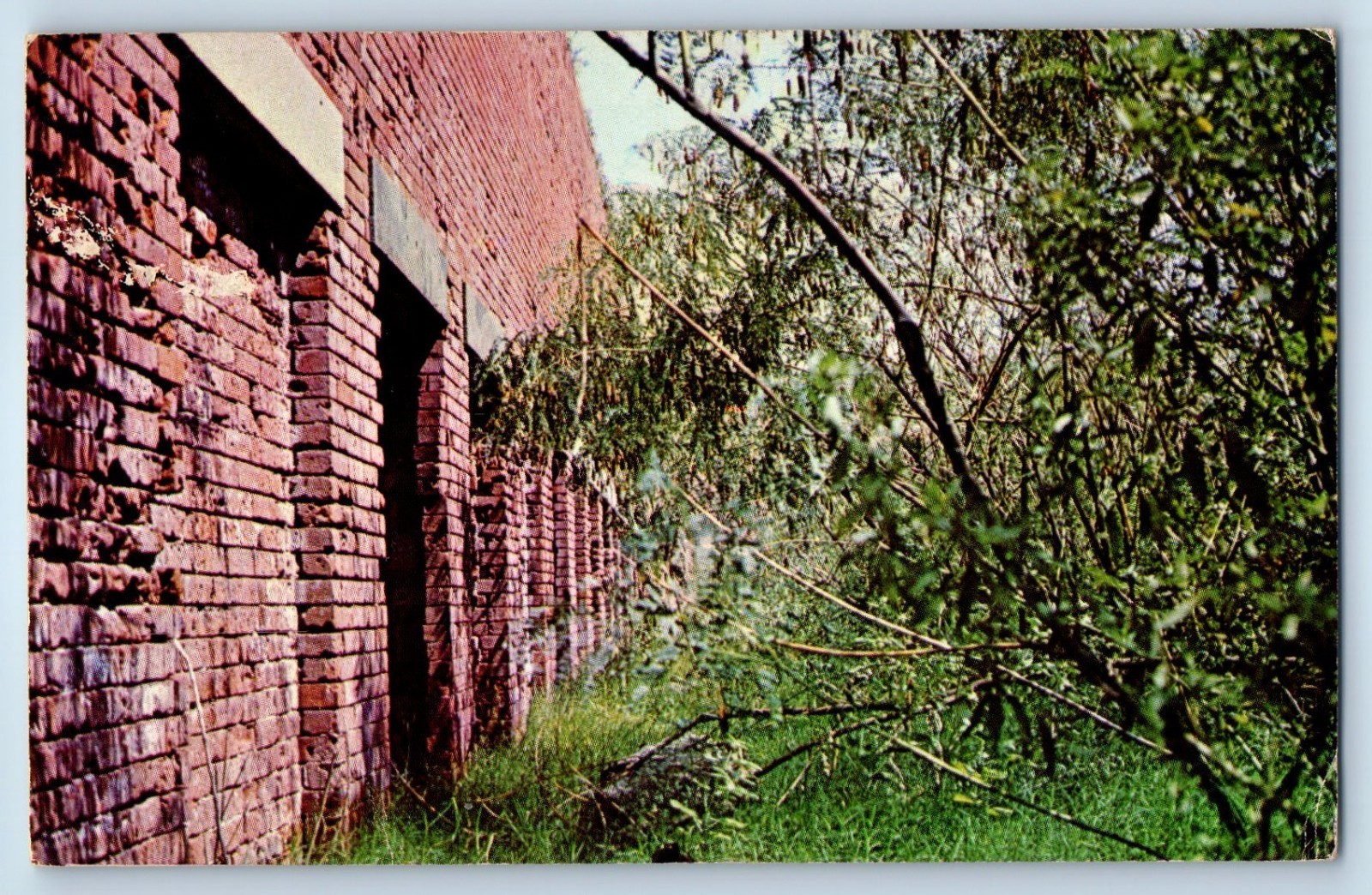 c1960 Fort Livingston Louisiana Postcard Off Grand Isle Constructed 18th Century