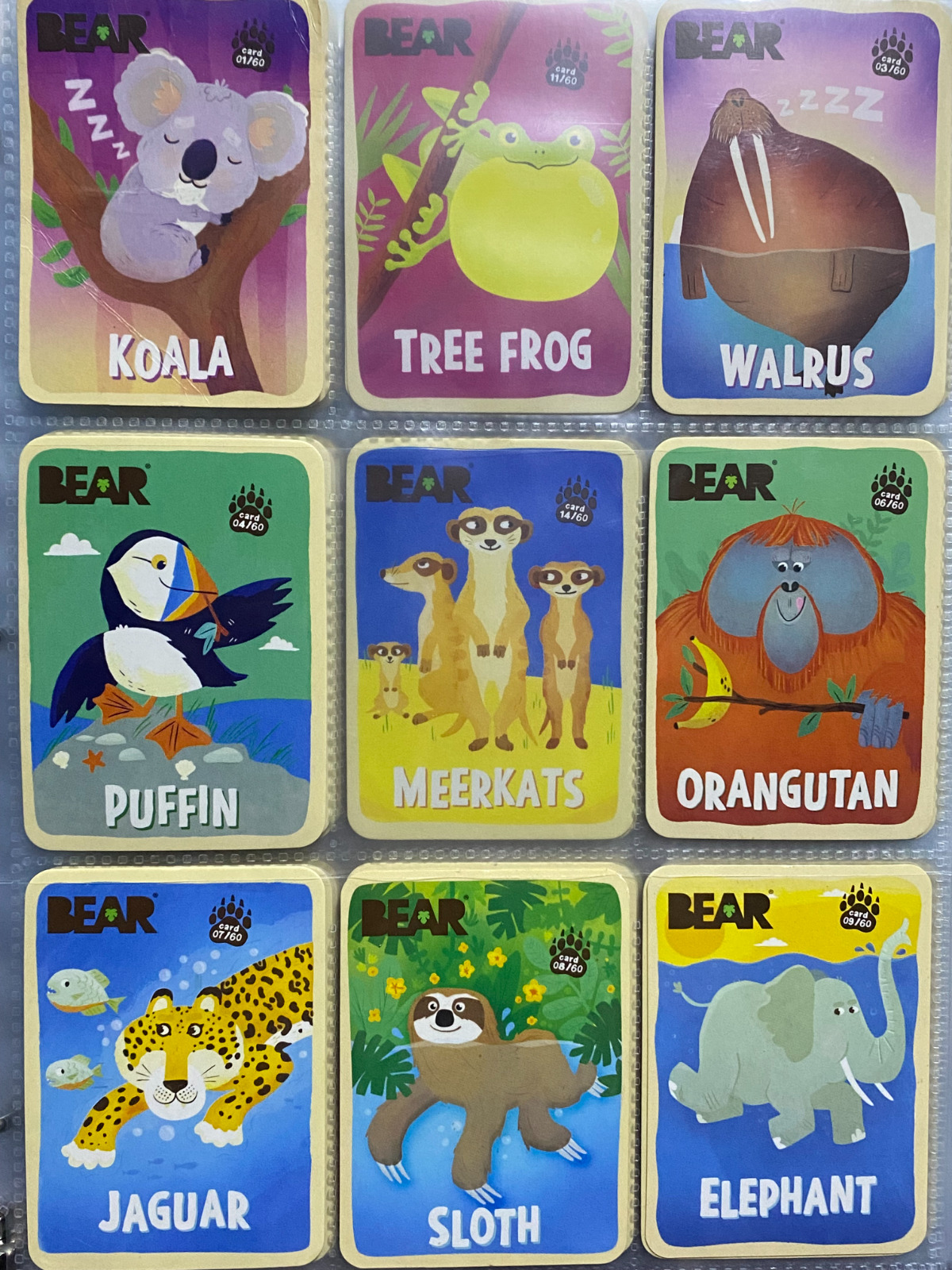 BEAR Fruit Snacks Collectible Animal Trading Cards - Complete Your Set New/Mint