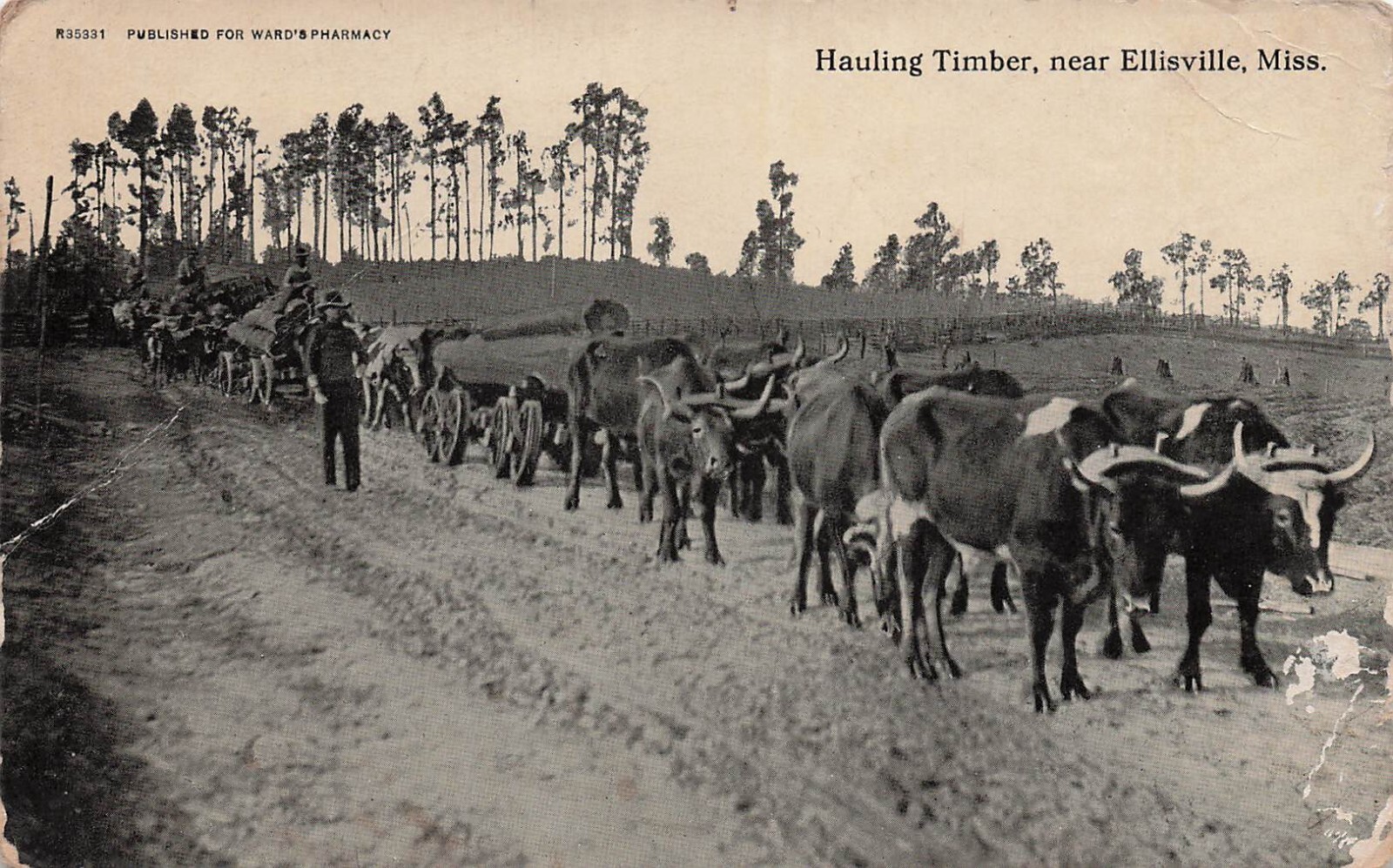 Ellisville MS Jones County Mississippi timber industry Mill Vtg Postcard H39