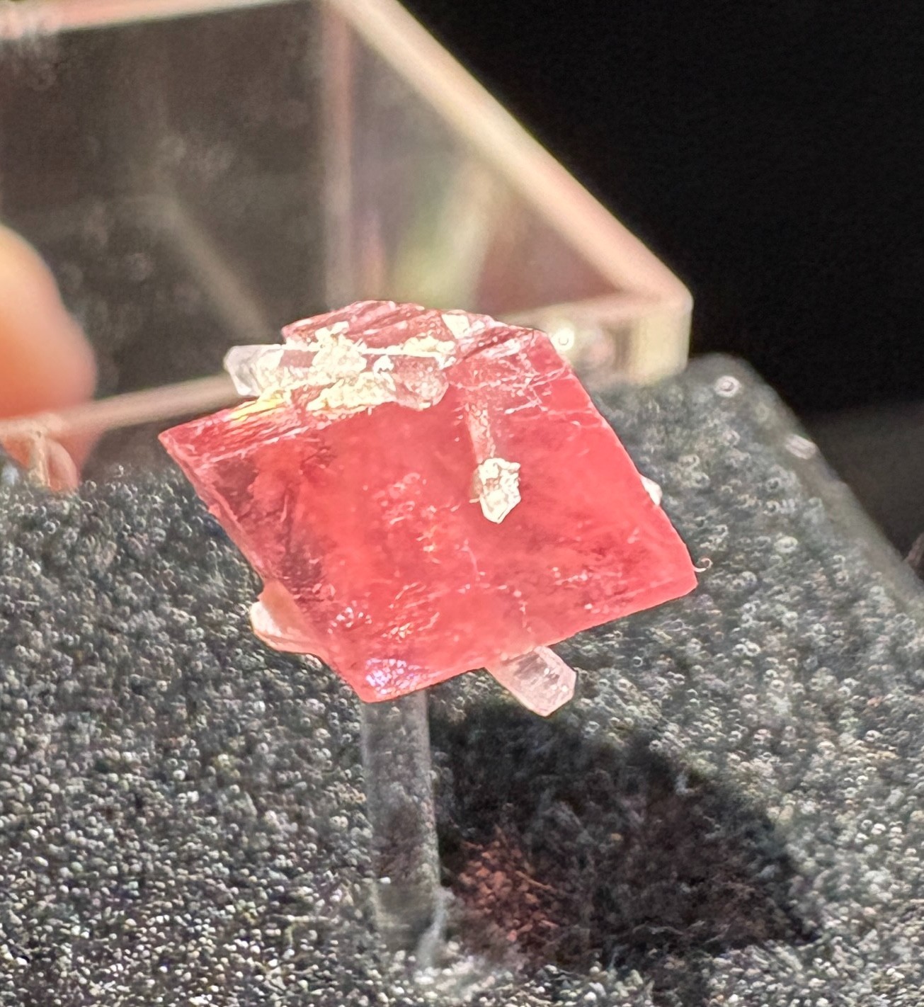 Sweet Home Rhodochrosite crystal Hedgehog Pocket    Alma, Colorado