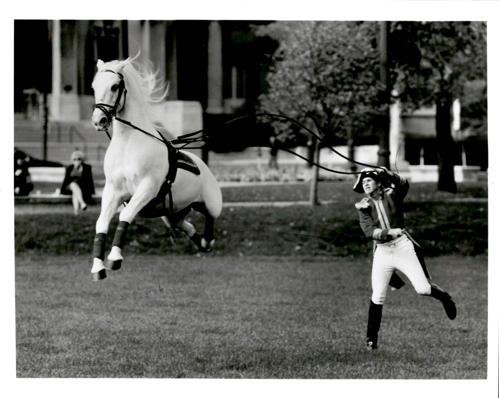 LD332 1993 Original Photo BAROQUE WHITE LIPIZZAN HORSE LEAPING European Breed