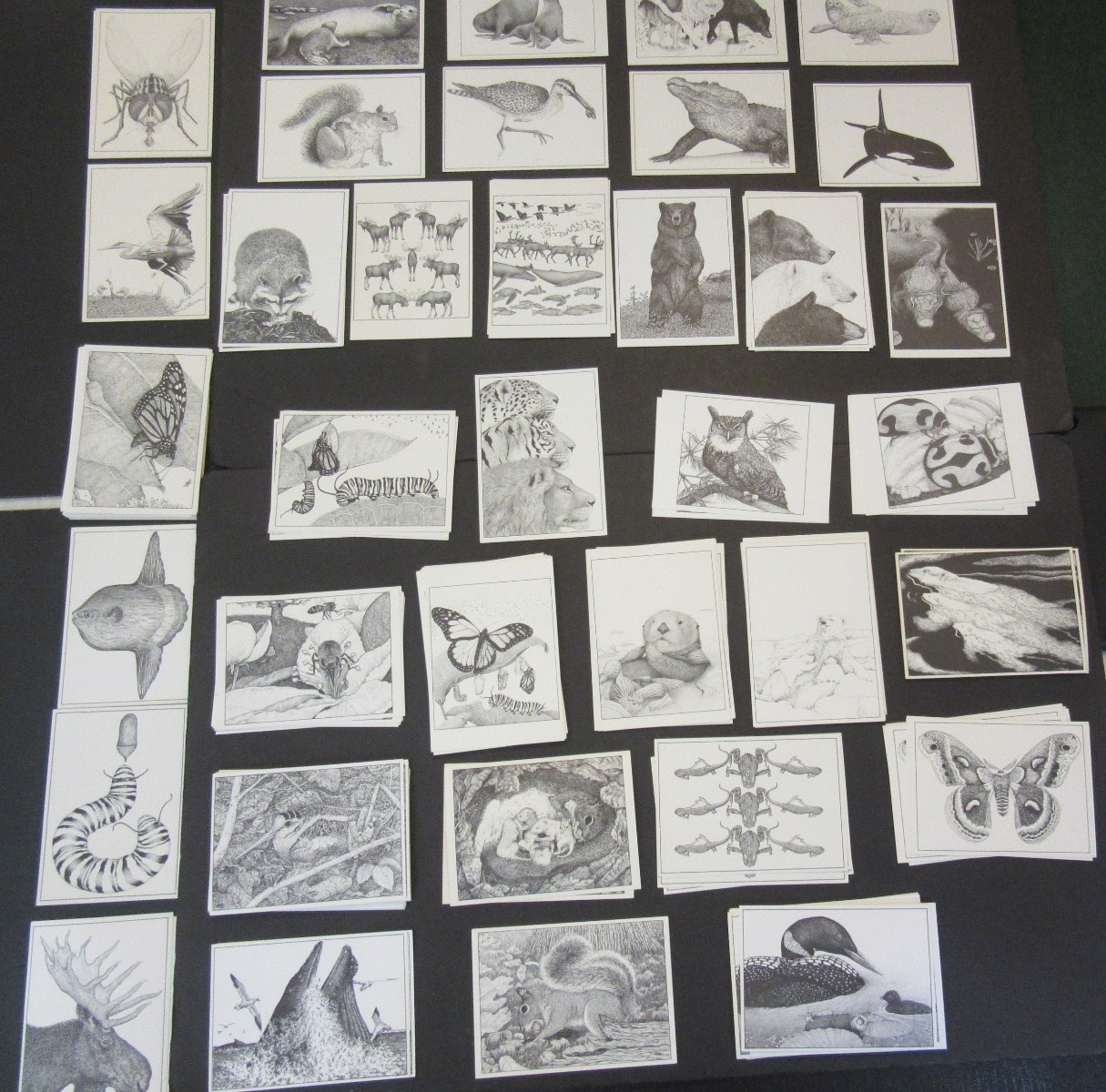Vintage Diana Dee Tyler Animal Insect Postcards mixed lot of 126 Vintage Diana Dee Tyler Animal Insect Postcards mixed lot of 126