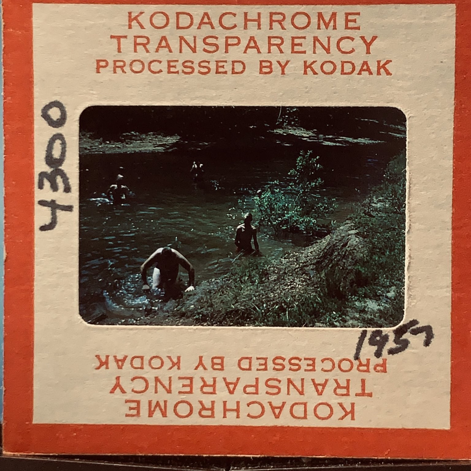 Vintage 1957 Kodachrome 35mm Slide People Swimming River Outdoors Nature