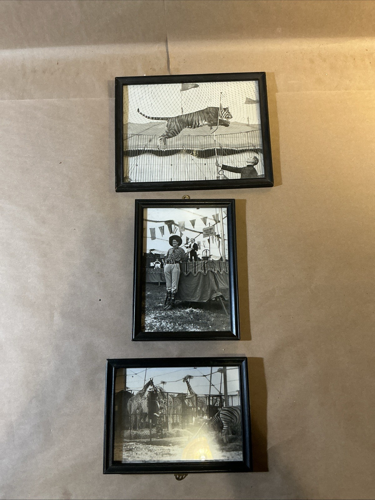 Group Of 3 Original 1931 Framed Ringling Bros. Circus Photos As Is INV-AA29
