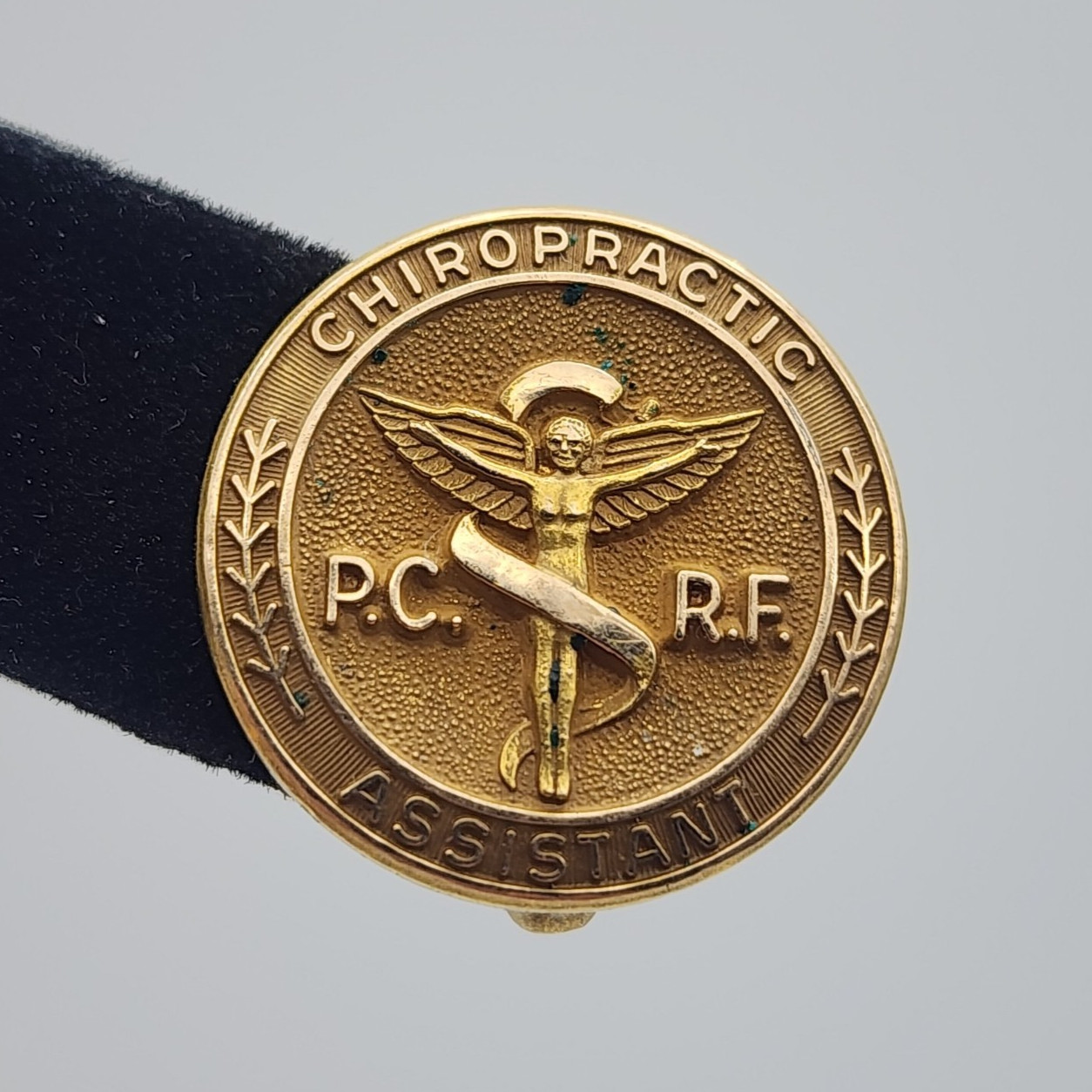 Vintage Chiropractic Assistant PCRF Gold Filled Pin