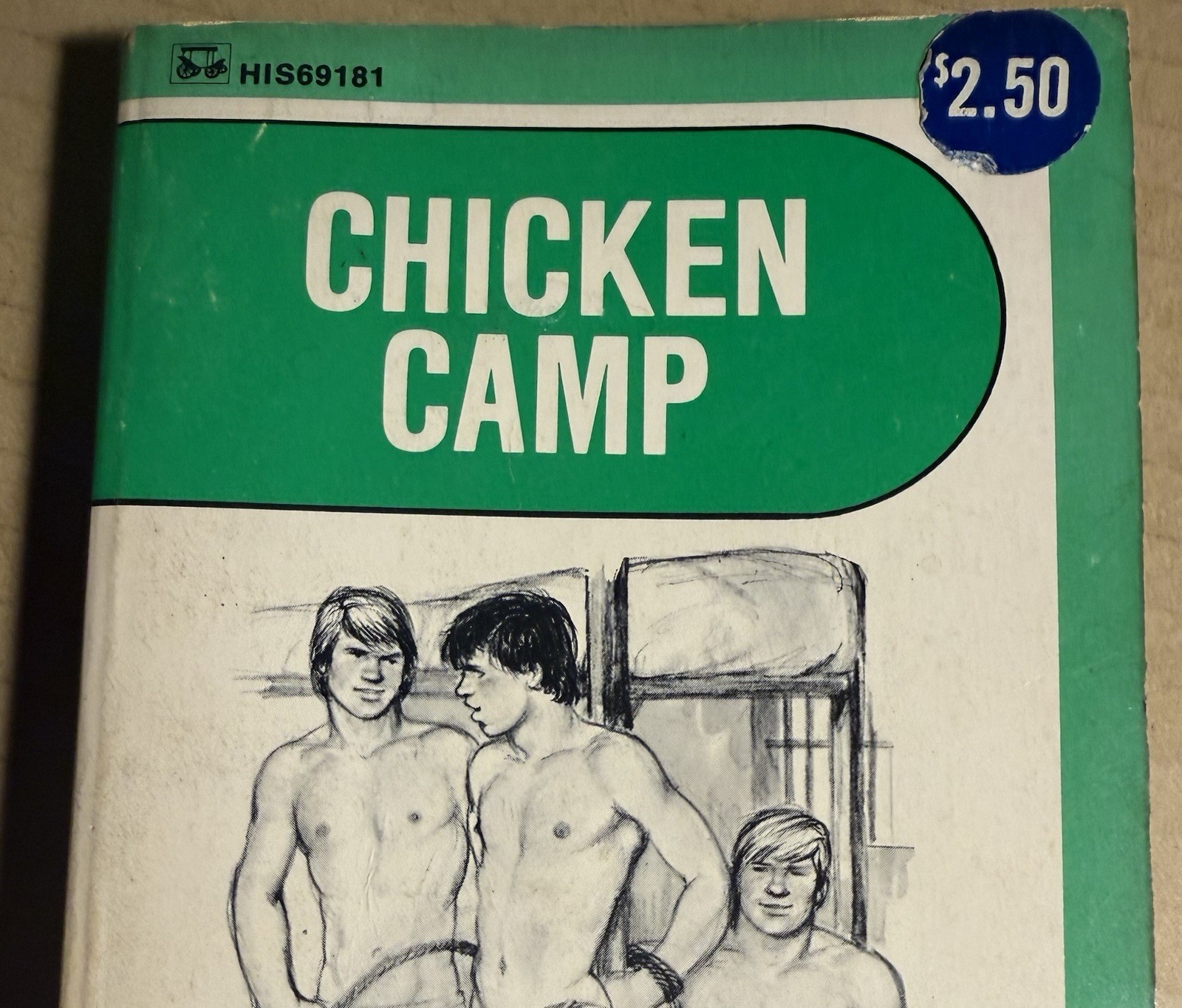 CHICKEN CAMP - 1976 HOWARD GORDON - SURREY HIS69 VINTAGE PULP NOVEL GAY INTEREST