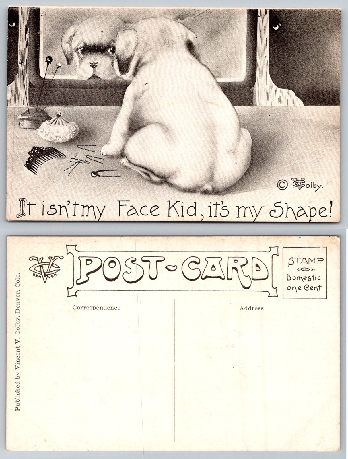Pug Dog Mirror Reflection It\'s My Shape Comic Colby Postcard
