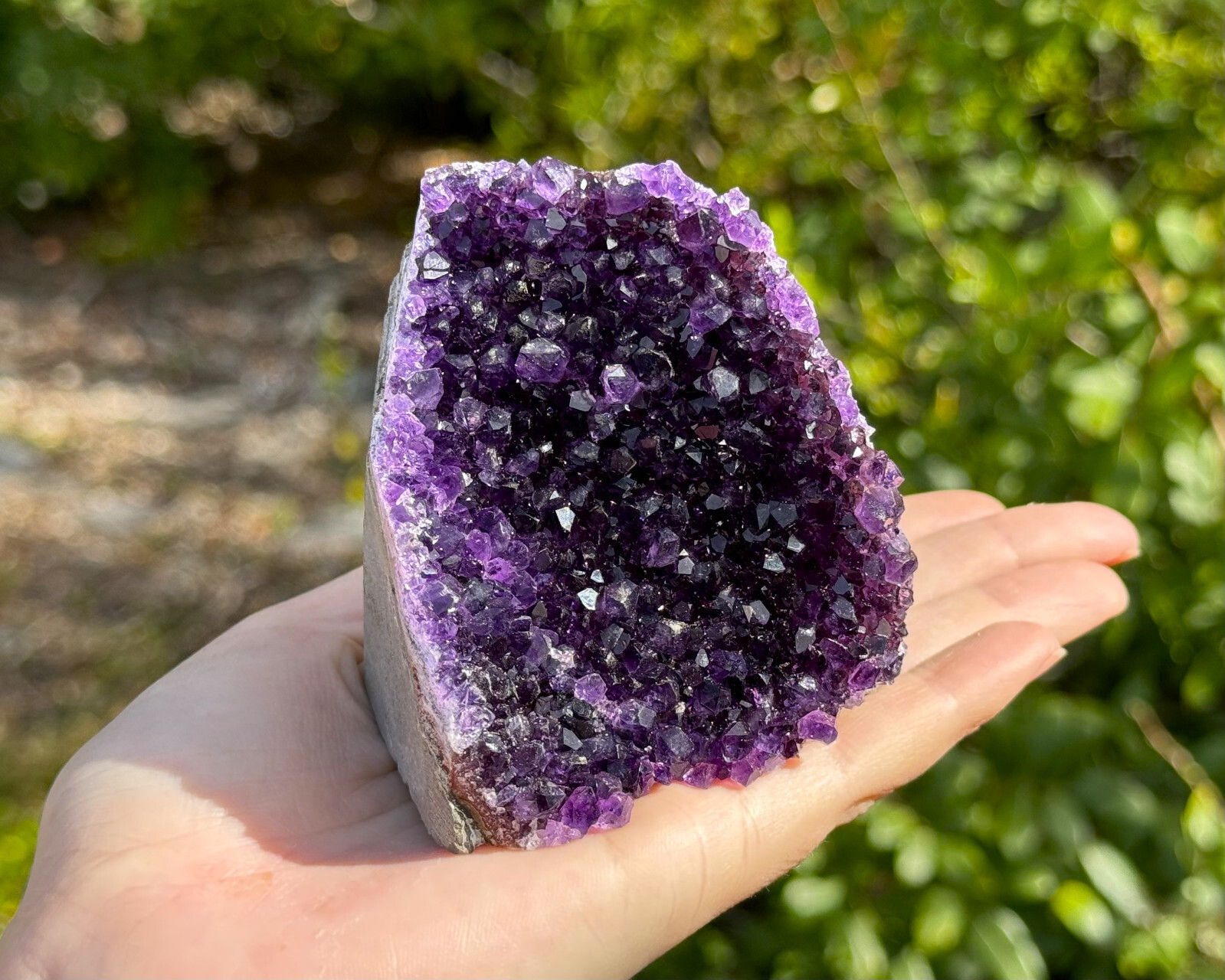 Amethyst Cut Base Clusters 8 - 11 oz Large Crystal Geodes (\'A\' Grade, Decor)
