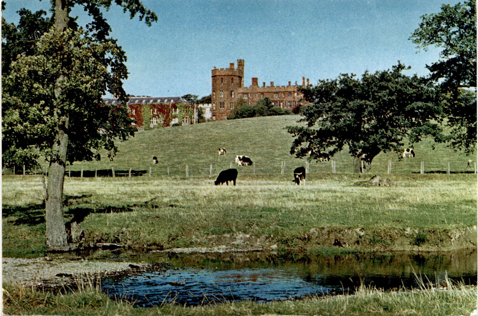 Ruthin Castle, Denbighshire, Wales, Clywd, J. Arthur Dixon Ltd Postcard