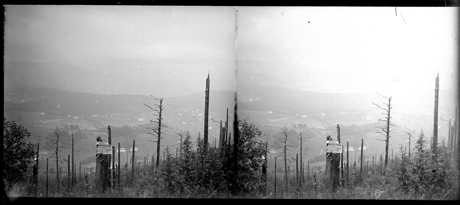 Alsace Orbey Wettstein Pass War 14 18 Photo Negative Stereo Glass 6x13
