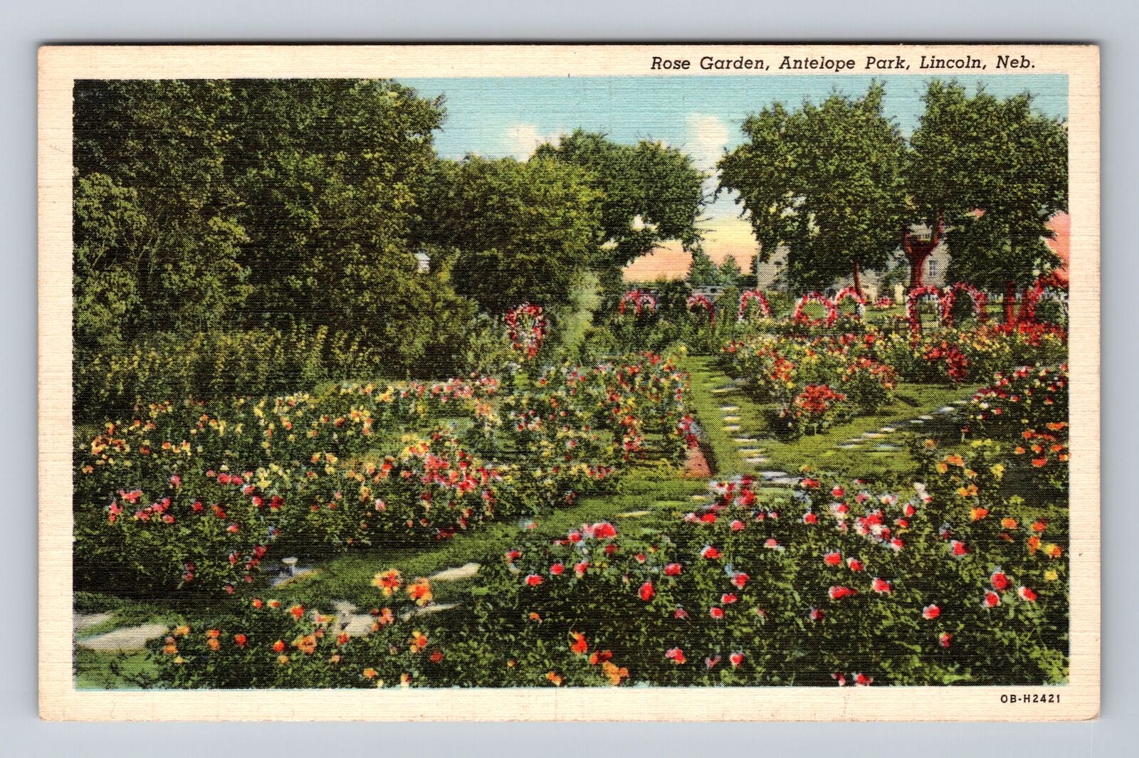 Lincoln NE-Nebraska, Antelope Park, Rose Garden, Souvenir Vintage Postcard