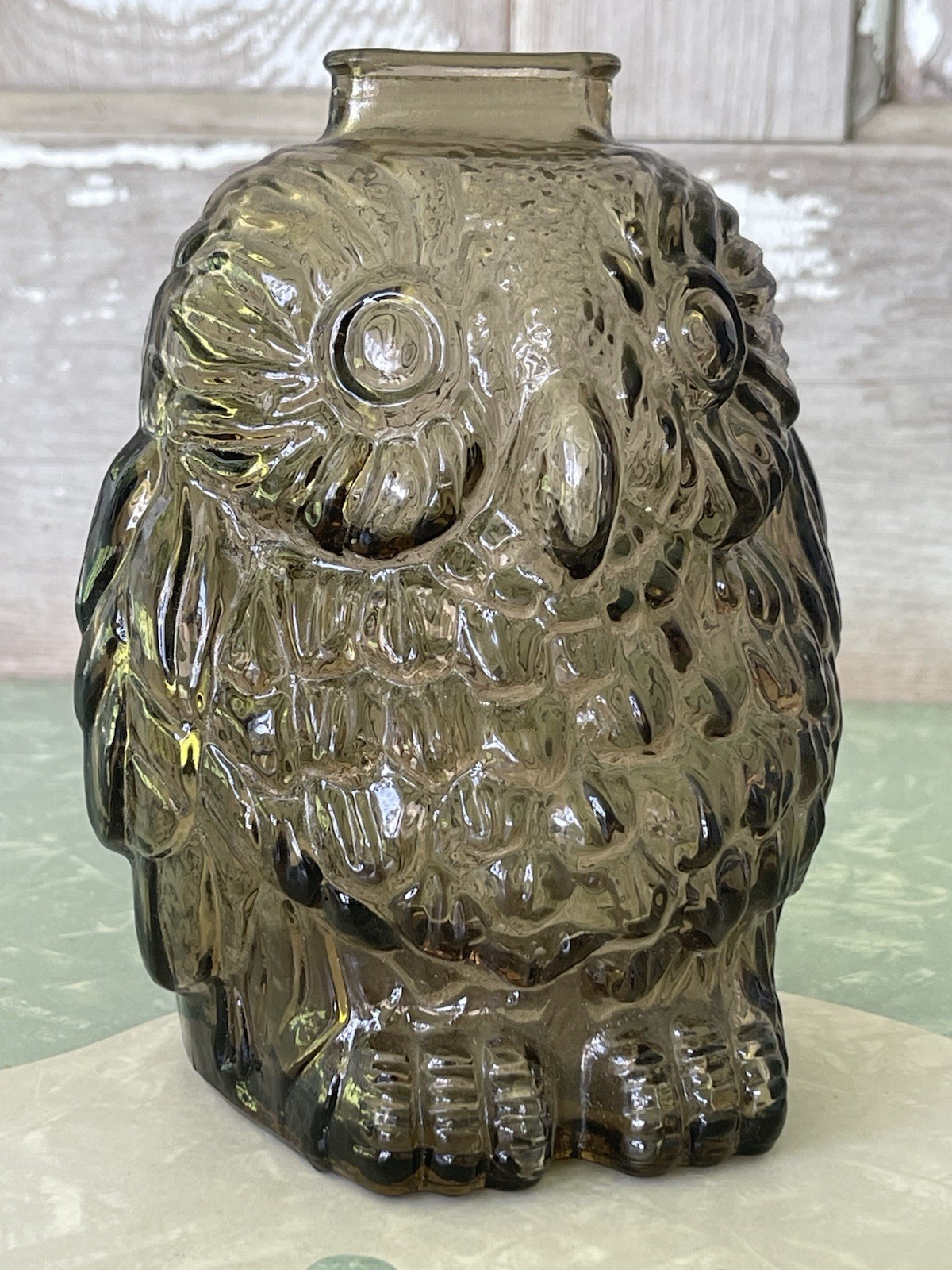 Wise Old Owl 3-D Vintage Glass Piggy Bank Libbey Smoky Color 6 Inch