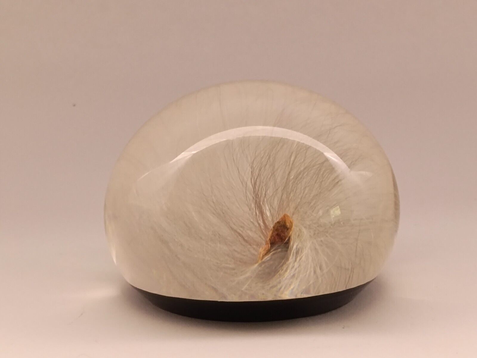 Vintage Dandelion Seed Puff Paperweight -  Tarax Infinity Products - Canada