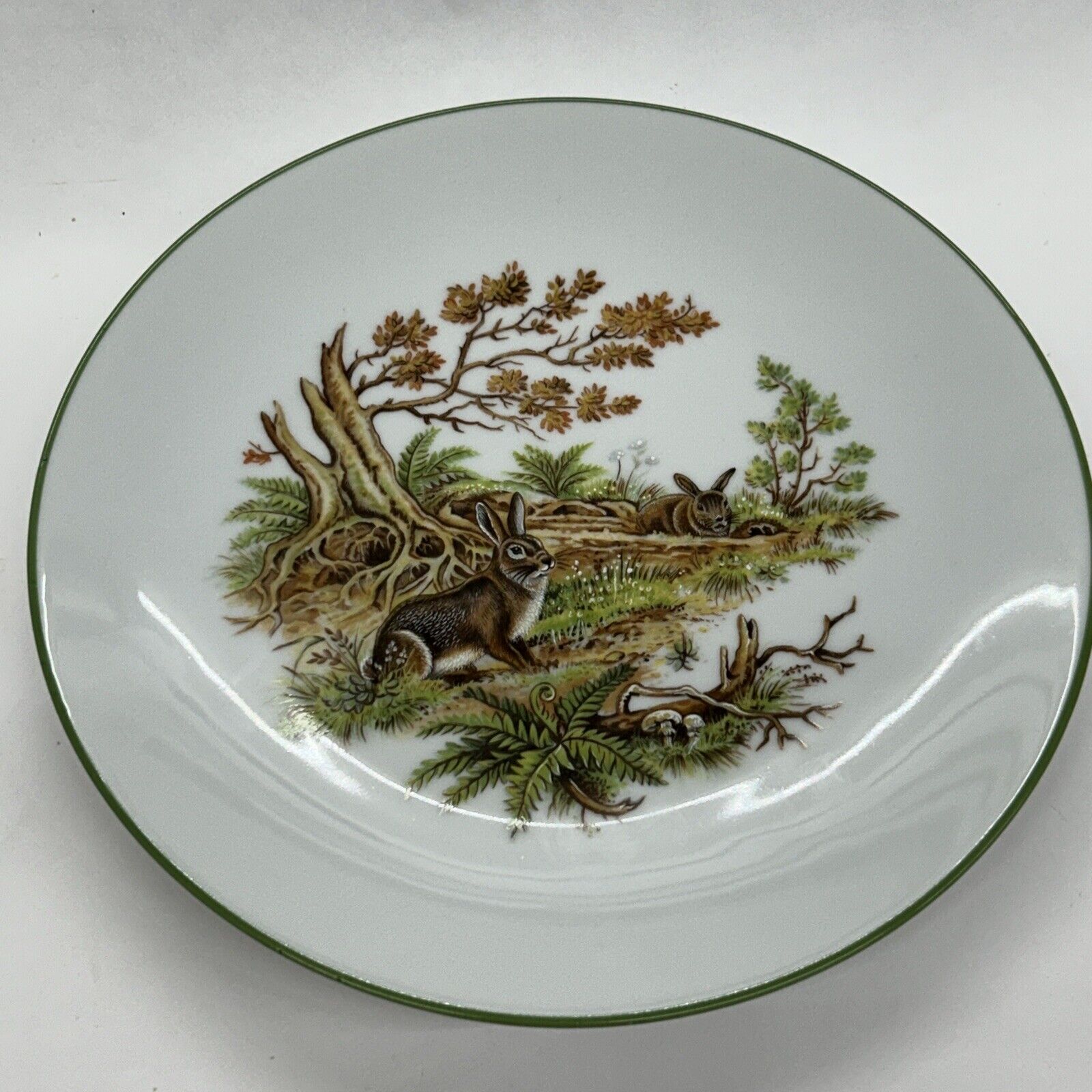 Vintage Bareuther Waldsassen 254 7-3/4” Salad Plate Wild Rabbits Green Border B1