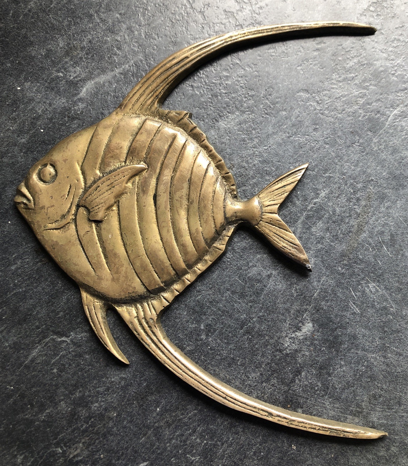 VINTAGE SOLID BRASS TROPICAL ANGEL FISH WALL HANGING DECOR 7” X 7”