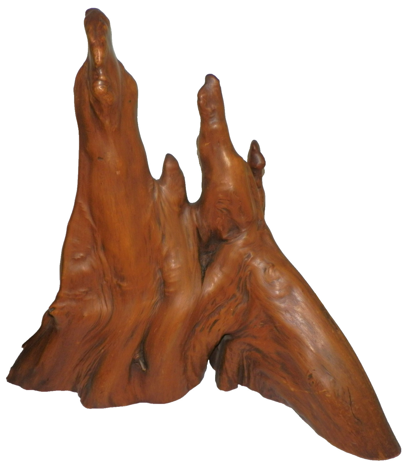 Natural Cypress Knee Wood Sculpture Rustic Cabin Wedding 20.5\ Natural Cypress Knee Wood Sculpture Rustic Cabin Wedding 20.5\