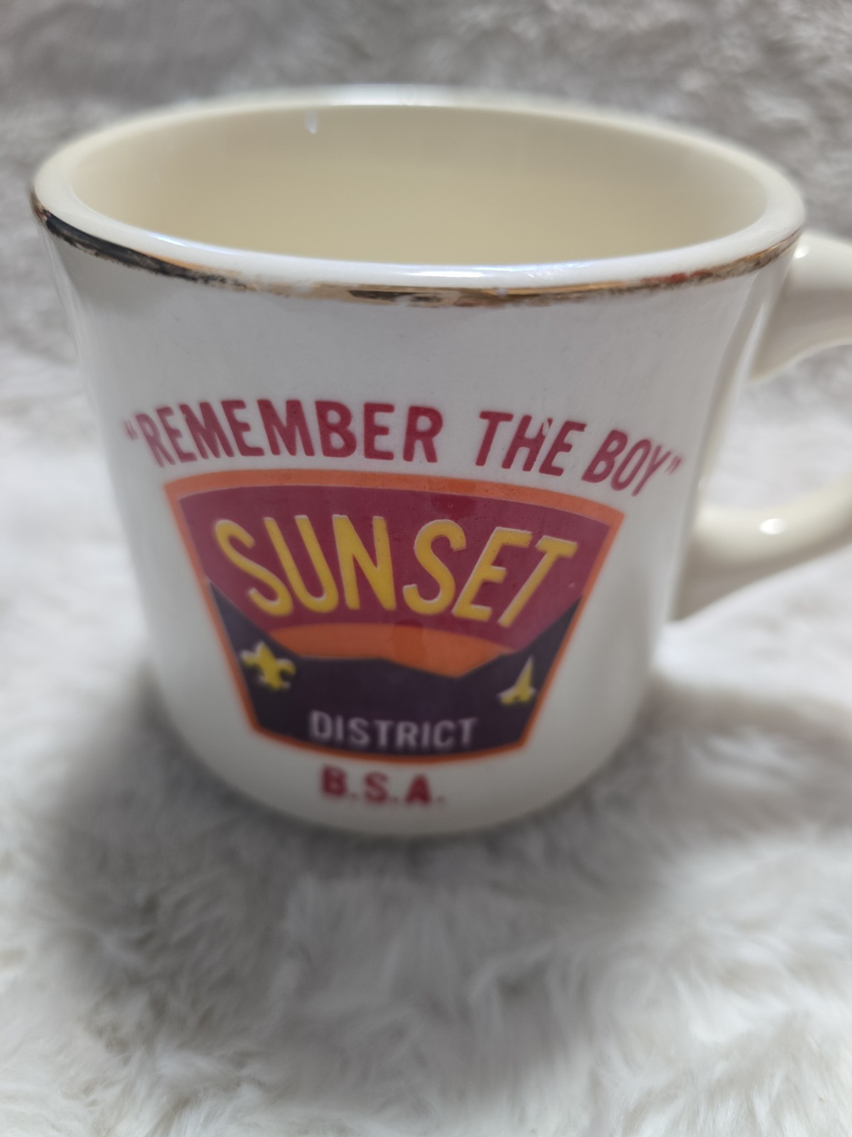 BSA Mug SUNSET DISTRICT BOY SCOUTS OF AMERICA 1970s Boy Scout Mug BSA Mug SUNSET DISTRICT BOY SCOUTS OF AMERICA 1970s Boy Scout Mug
