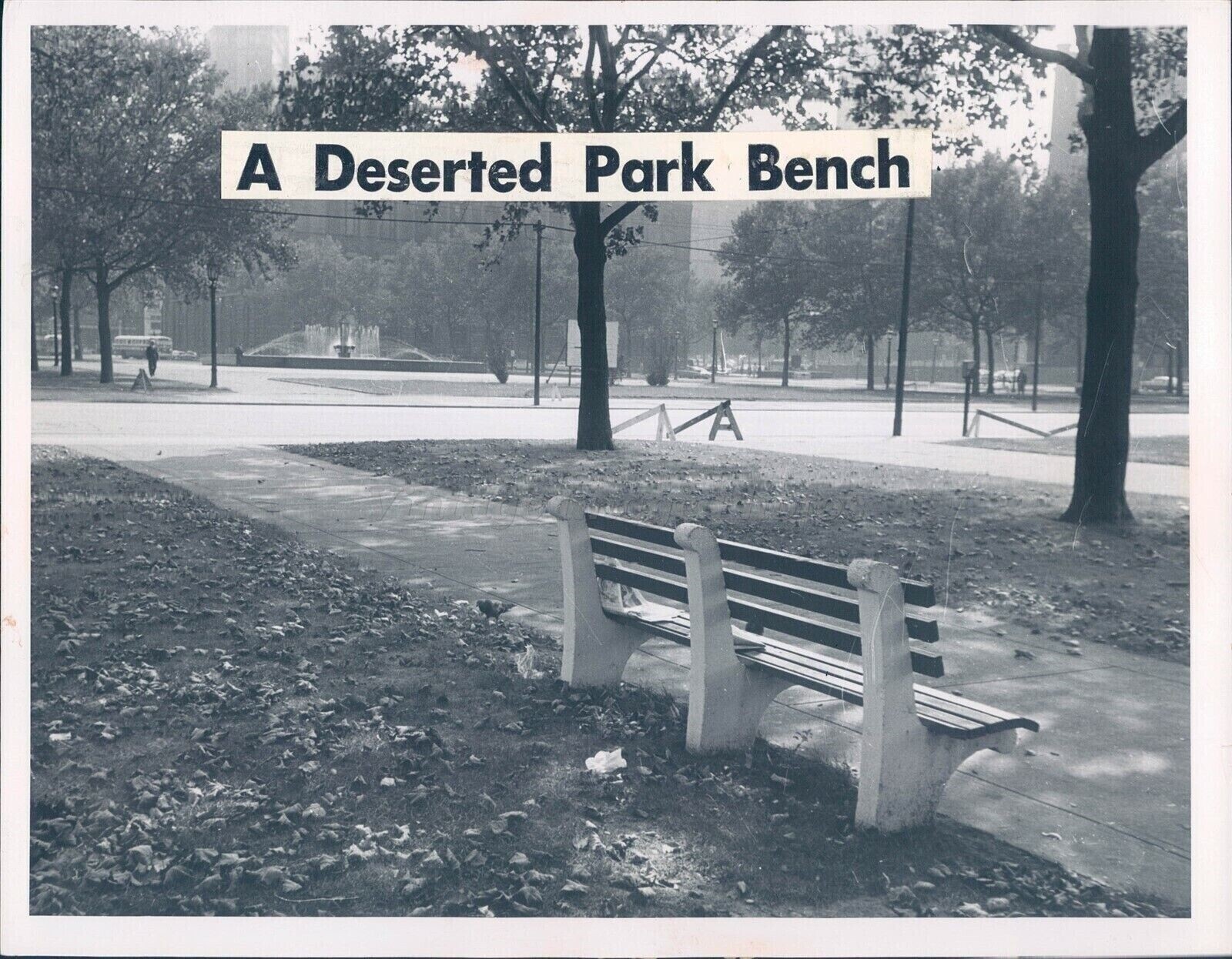 1959 Press Deserted Park Bench Leaves Fall Outside Trees Glenn Zahn Photo