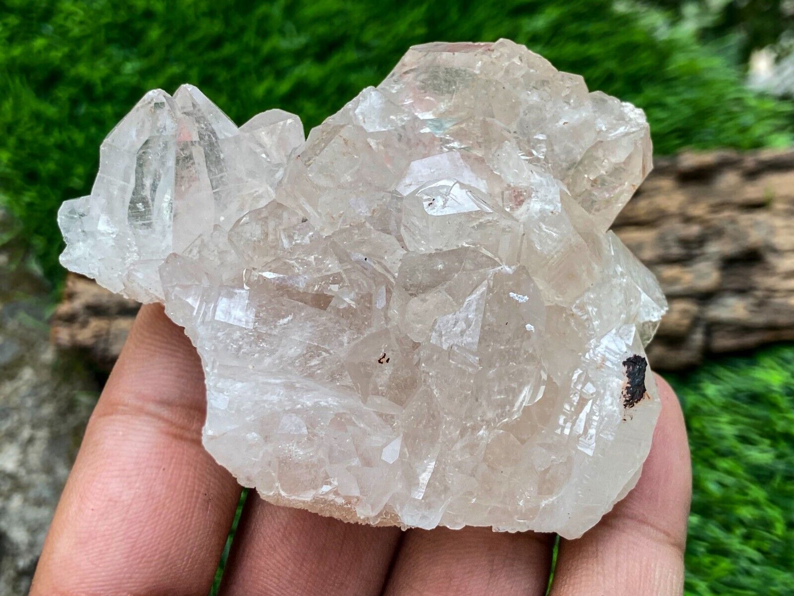 118GM Natural Clear quartz cluster white Crystal Himalayan/mineral specimen