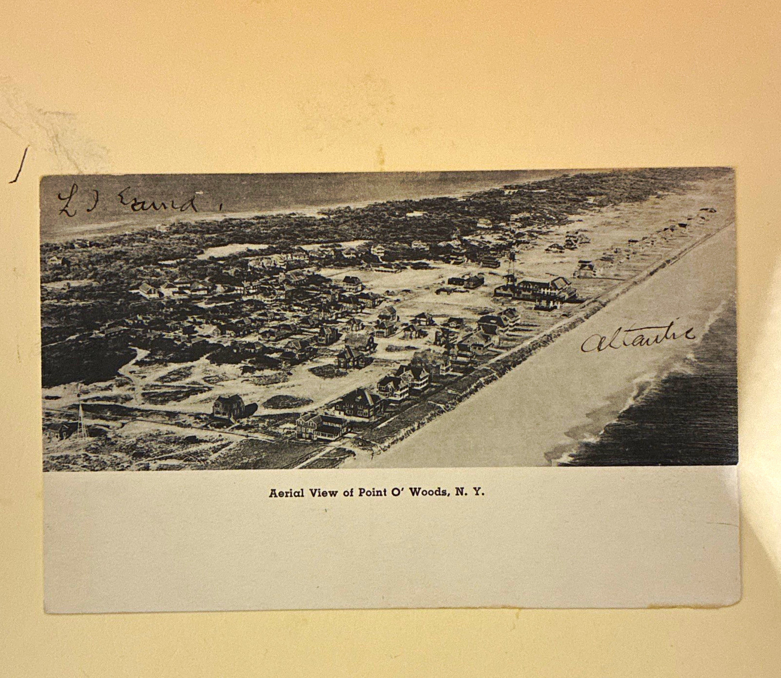 Instant American News Post Card Co. Aerial View Point O\' Woods NY Unposted