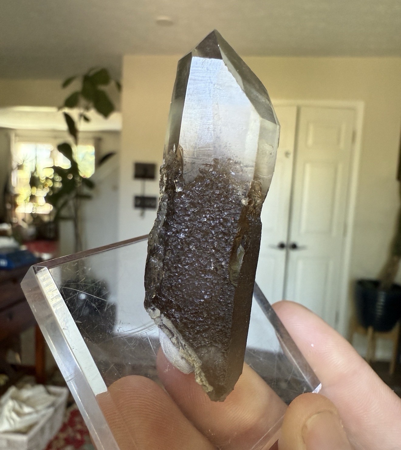 A++ Smoky Quartz Scepter Hallelujah Junction Nevada