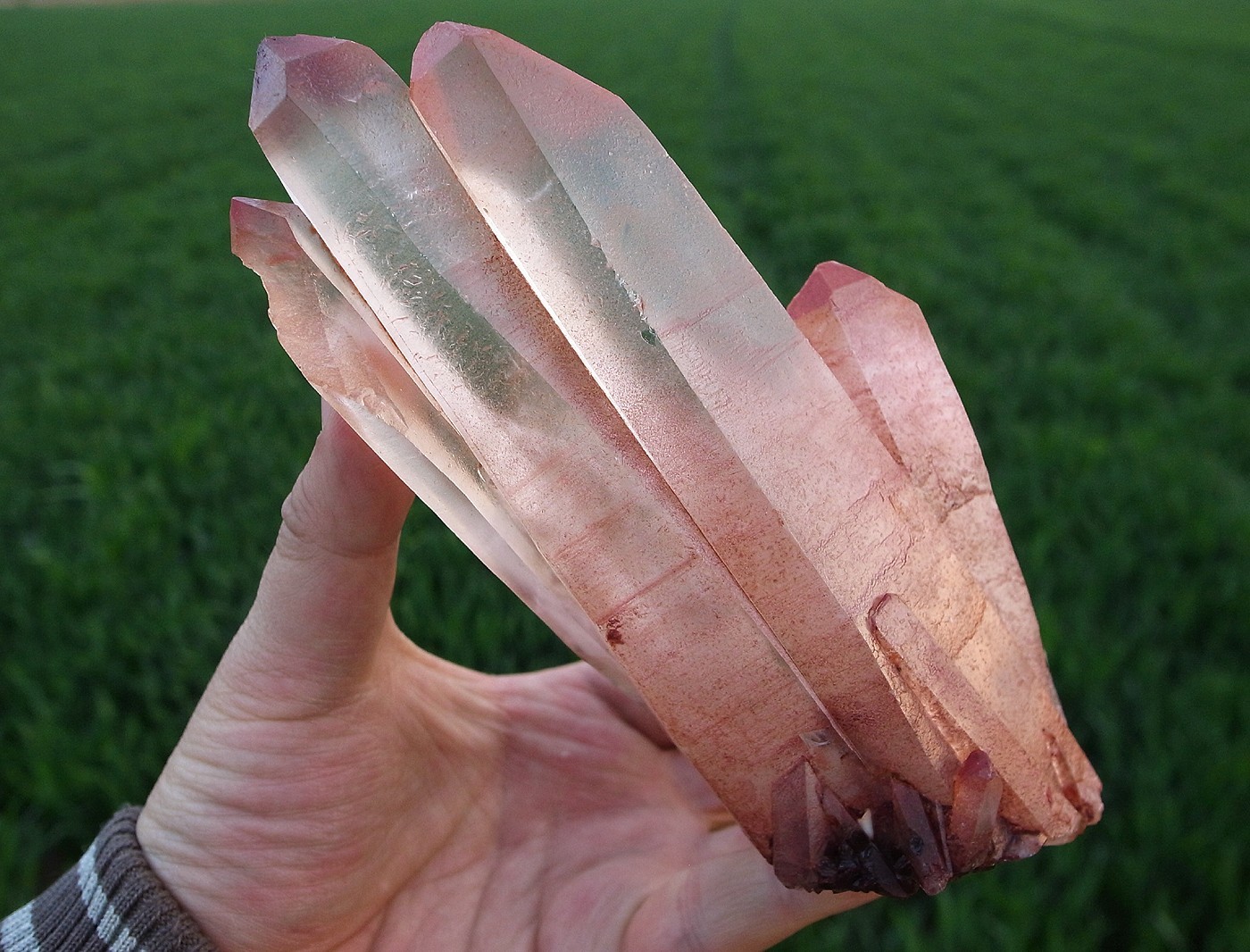 WOW  HUGE GEM Elestial Angel PINK Lemurian Quartz Cluster-Angel Wings