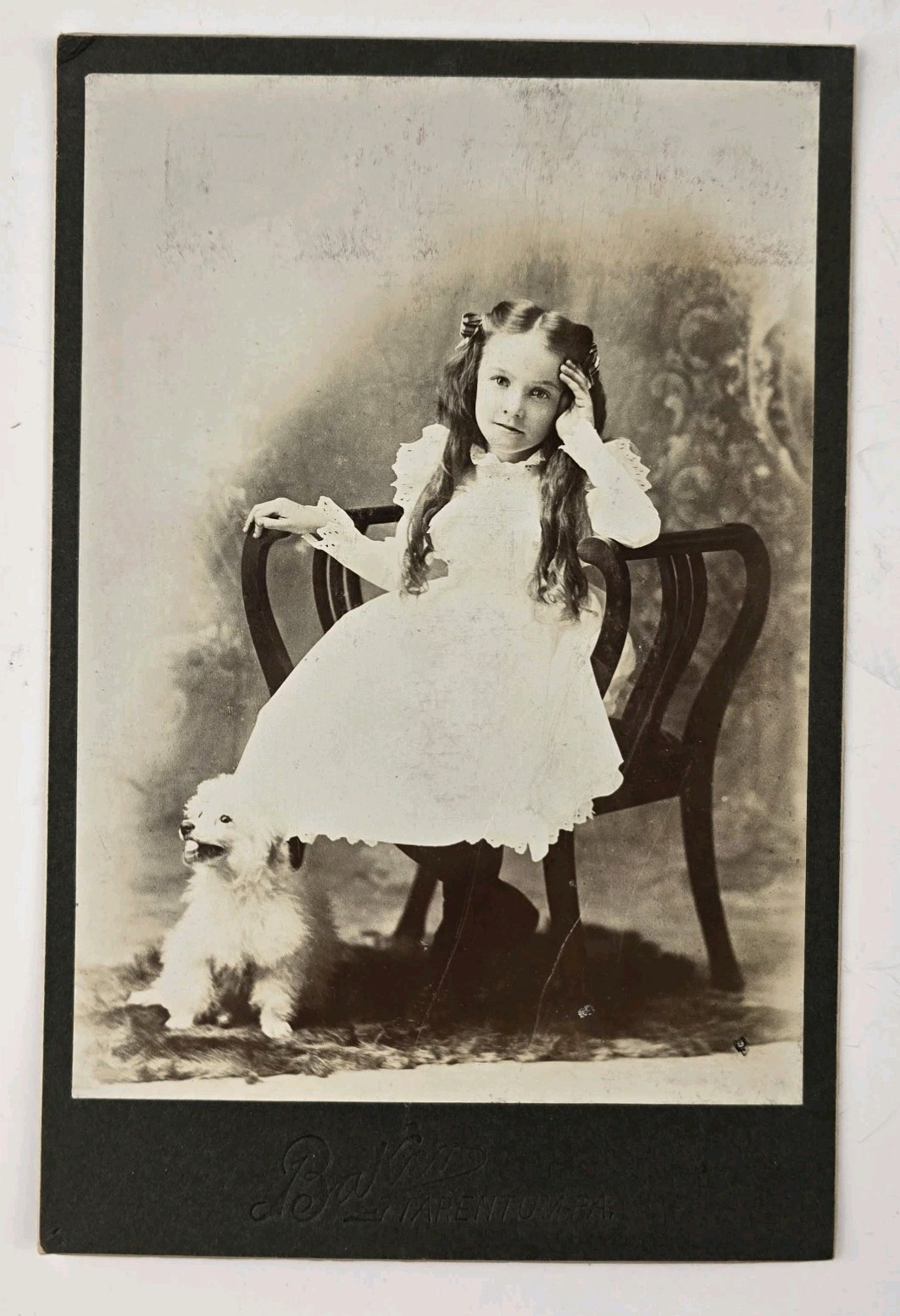 Unique Antique Cabinet Card Photo Girl Long Hair Puppy Dog Baker Tarentum PA