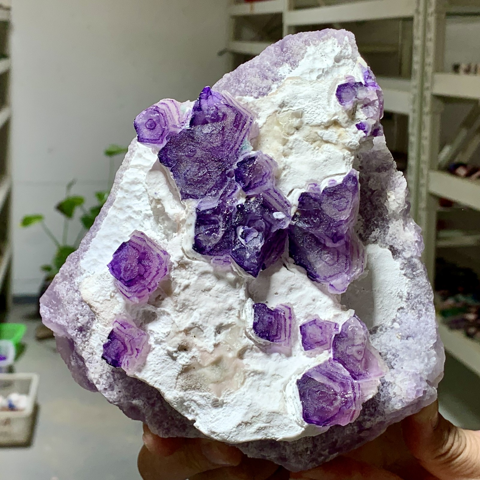 3.29LB Rare Purple hexagon cubic fluorite mineral crystal sample/Zhejiang,China