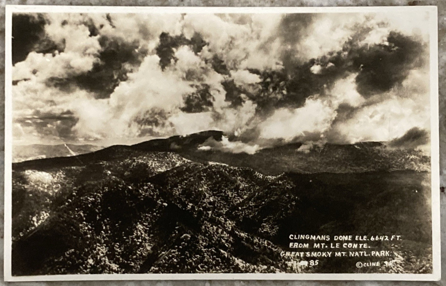 Clingmans Dome From Mt. Le Conte Great Smokey Mt Natl Park RPPC Postcard B784