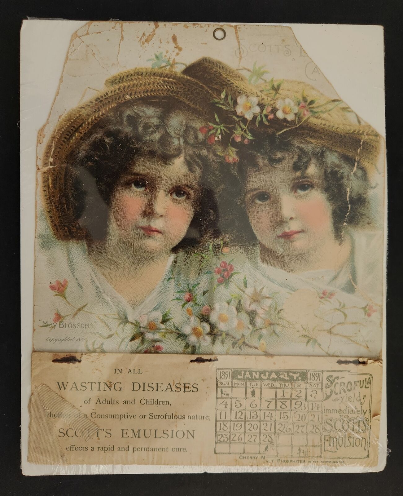1891 antique MEDICAL victorian GIRL CALENDAR wasting diseases SCOTT\'S EMULSION