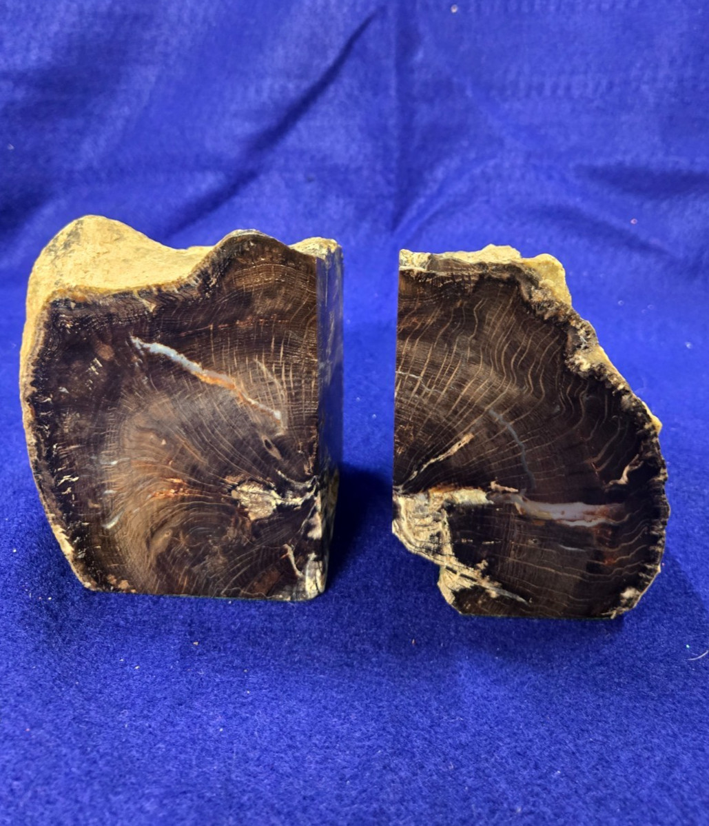 Vintage Petrified Wood Bookends Natural Agate Stone Heavy Tree Fossil 1 Pair MCM
