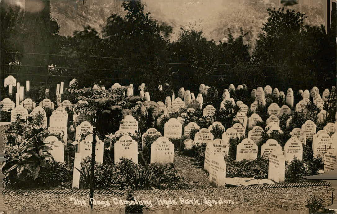 London England Dogs Cemetery Hyde Park Vintage Real Photo Postcard RPPC