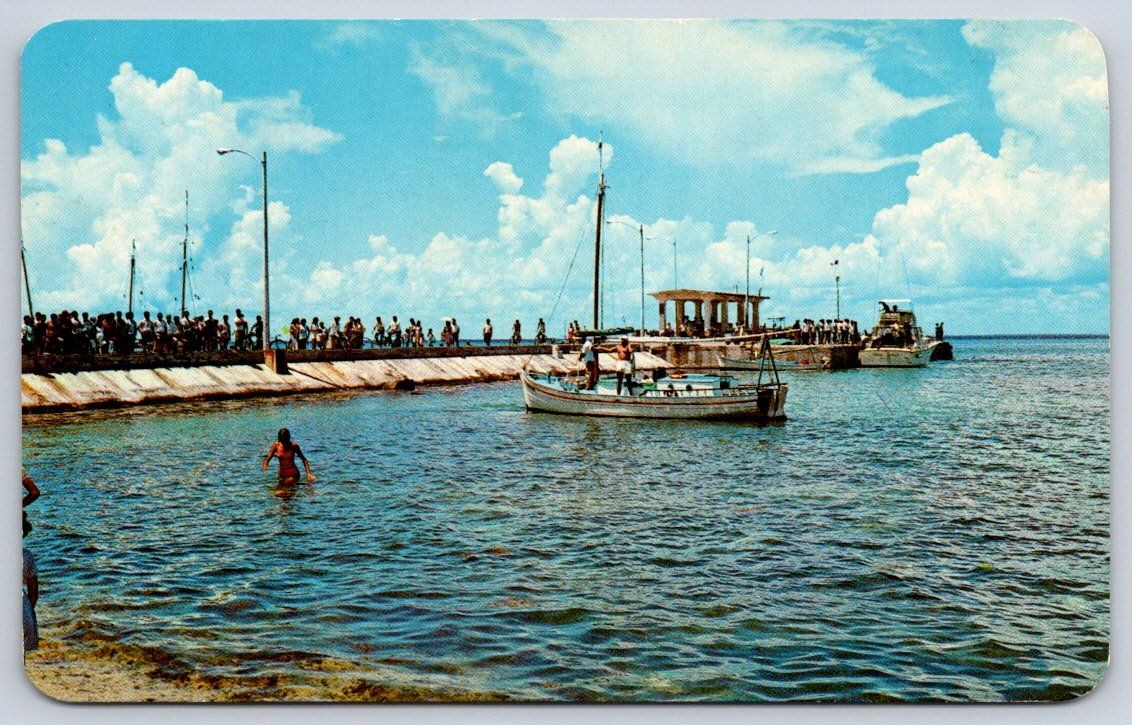 Vintage Mexico Postcard COZUMEL Landing Dock El Embarcadero 1974
