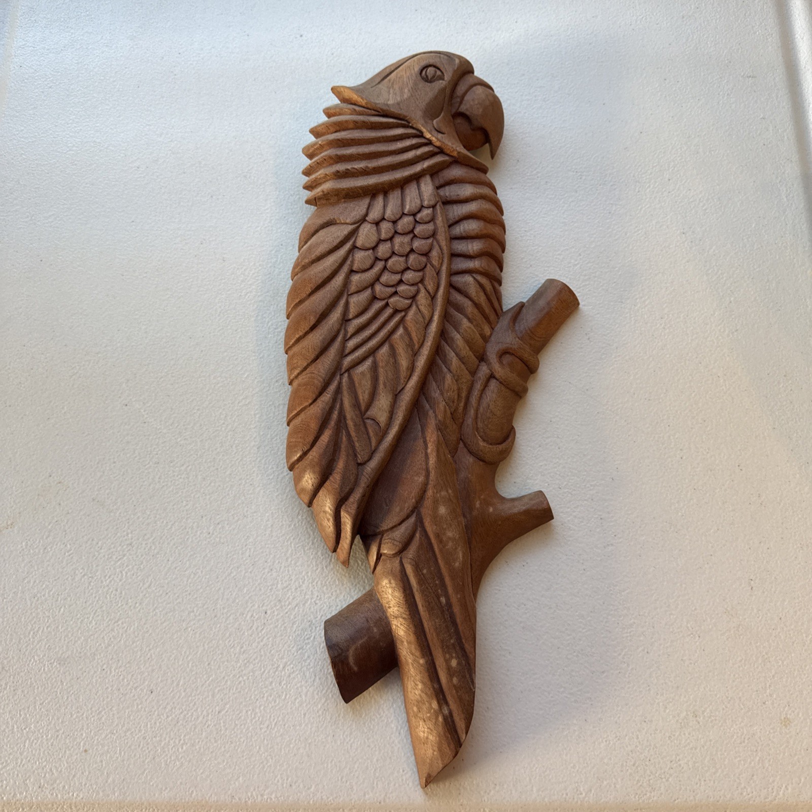 Vtg Hand Carved~Hand Painted~Wooden Parrot Plaque 17”~GREAT PIECE
