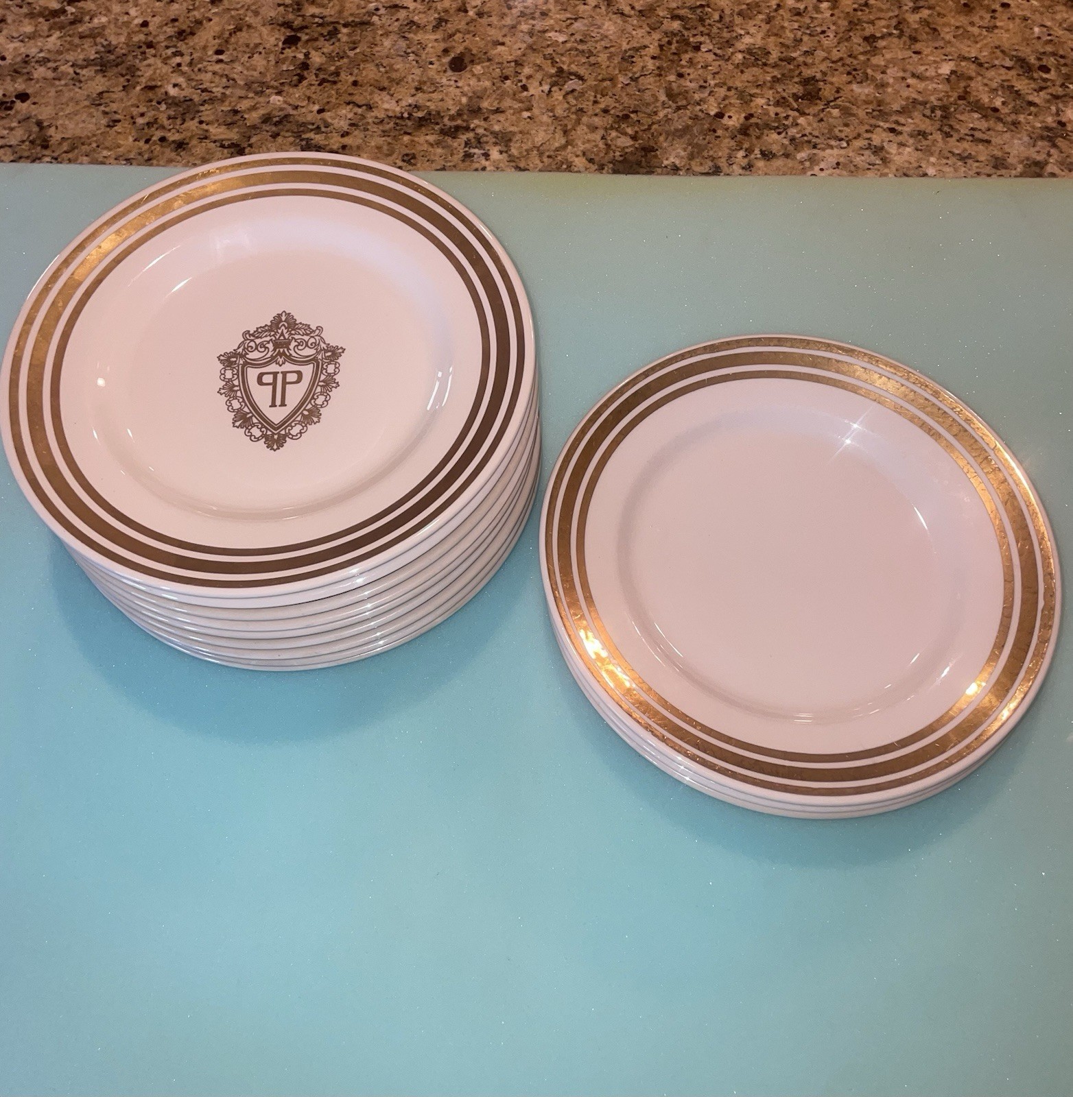 13 Vintage PLAZA HOTEL NY Dinner Plates 10.25