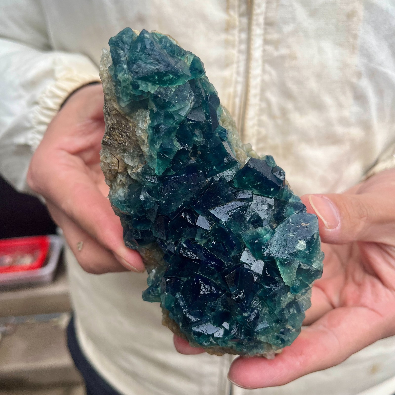 1.3LB  Natural cubic green fluorite crystal cluster rough mineral specimen