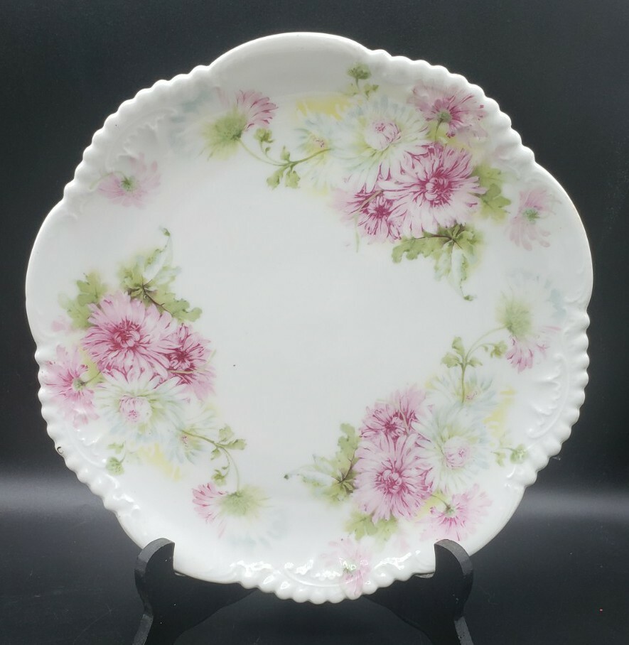 White & Pink Chrysanthemum 9.75\